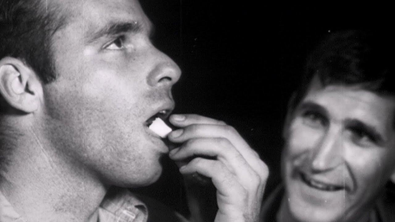 The Weird World of LSD Trailer