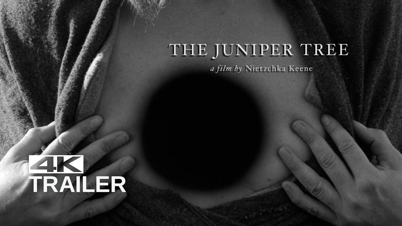 The Juniper Tree Trailer