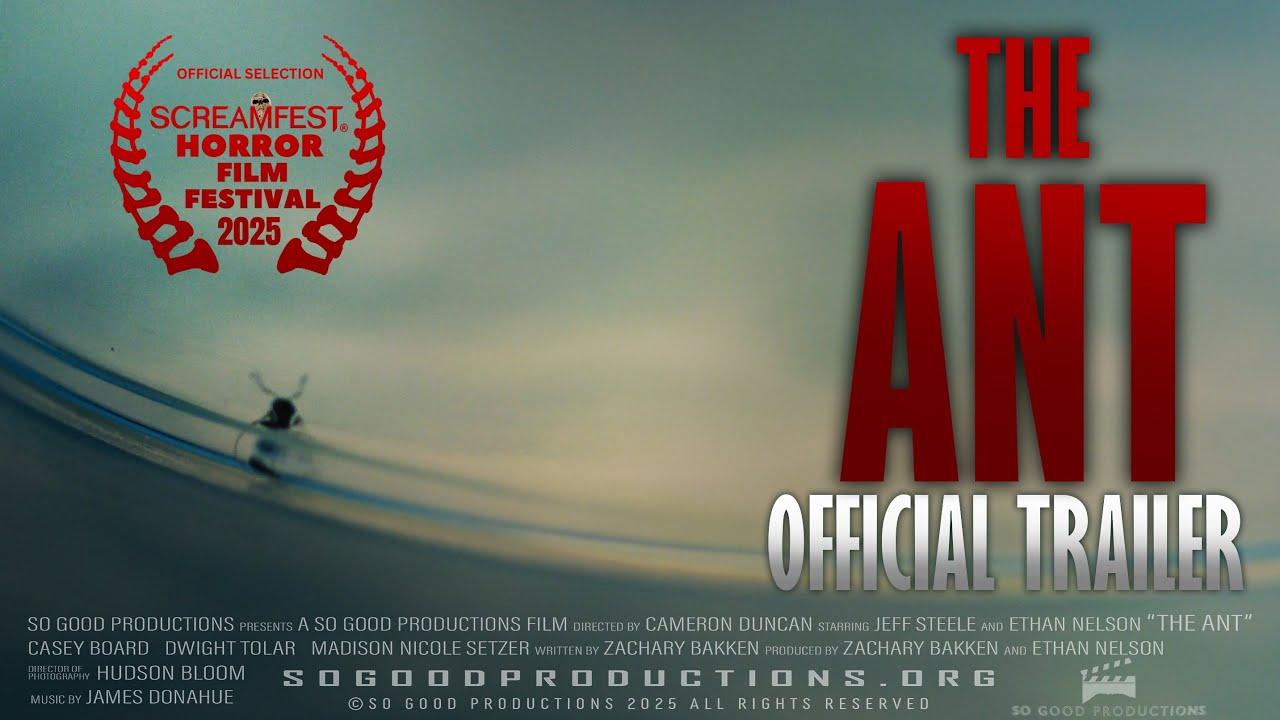 The Ant Trailer