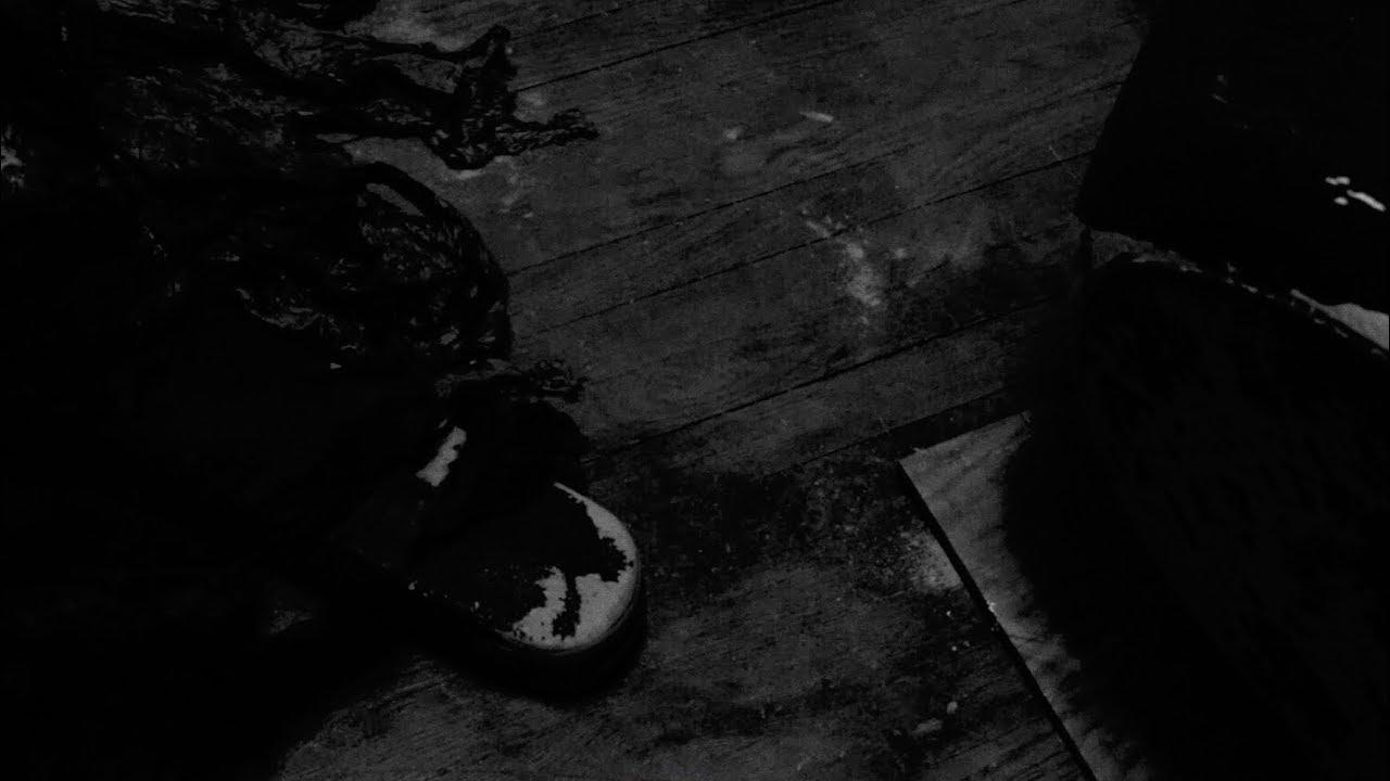 Weightless Bird In A Falling Cage Trailer