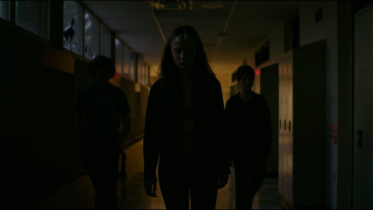 Salamander Days Trailer