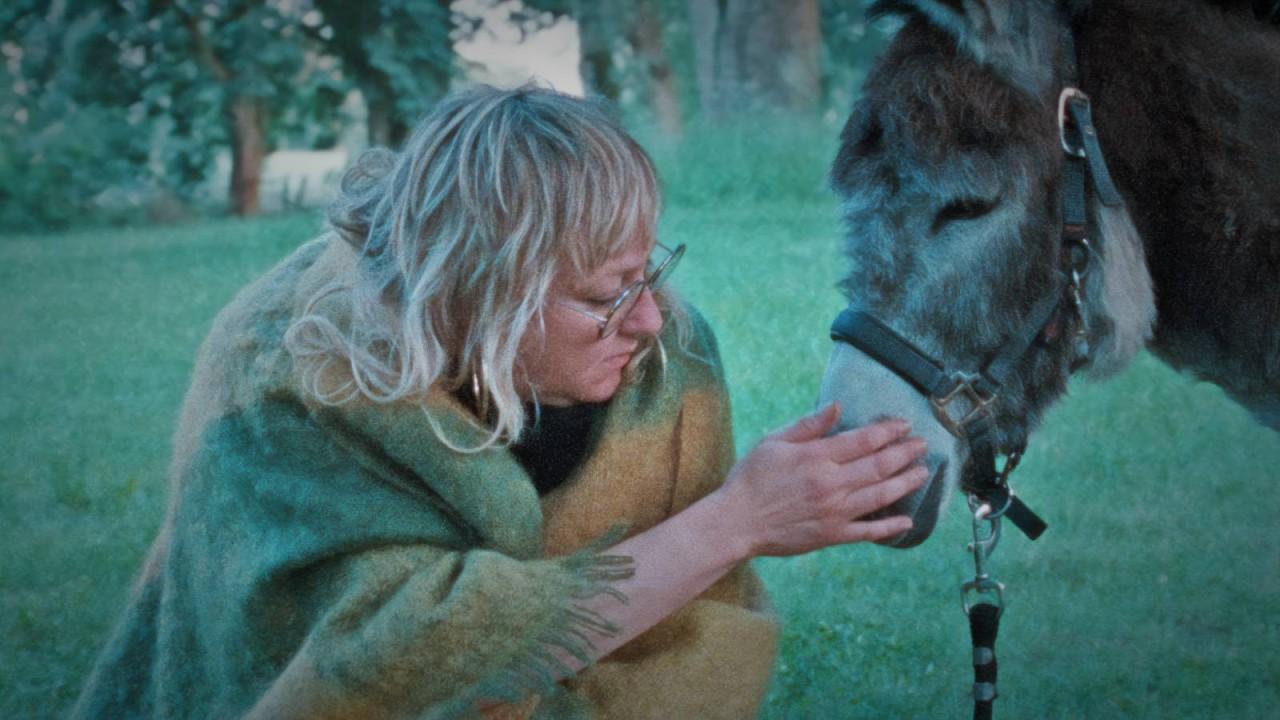Donkey Days Trailer