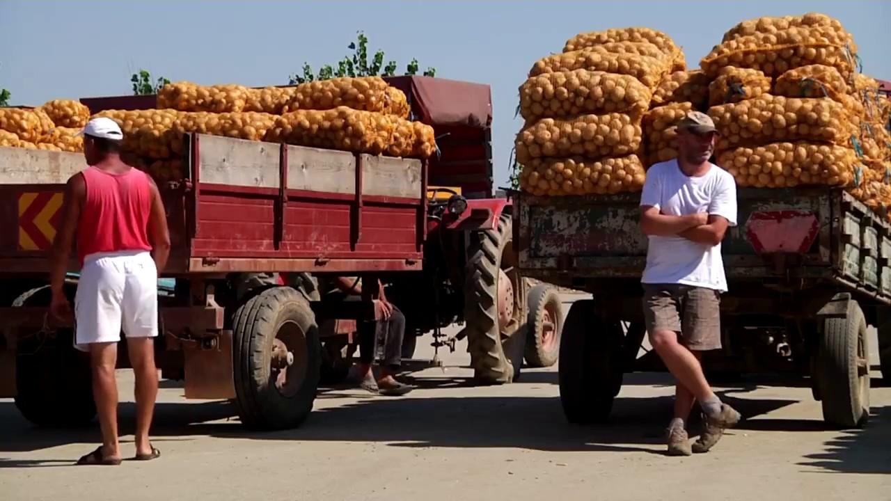 Cabbage, Potatoes and other Demons Trailer