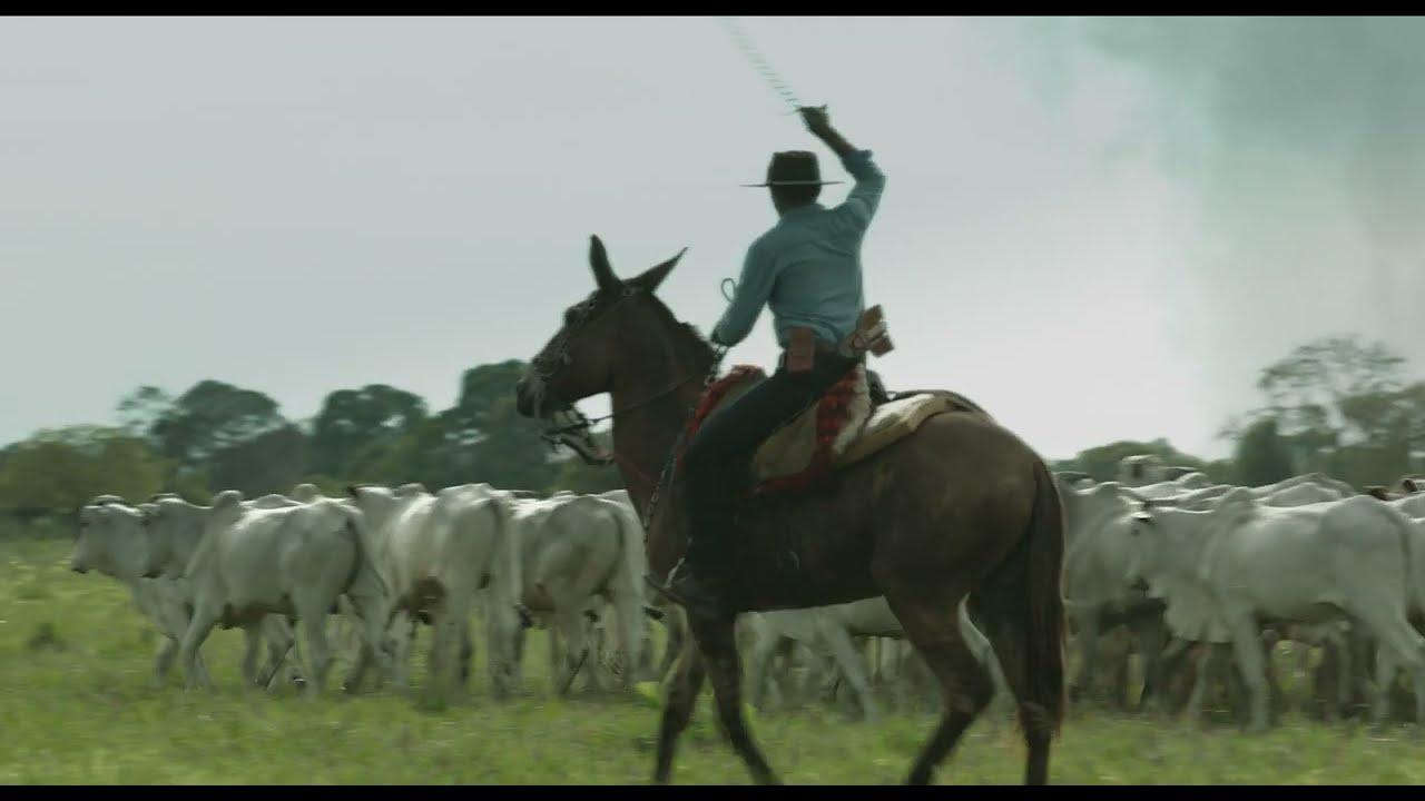 My Mother is a Cow Trailer