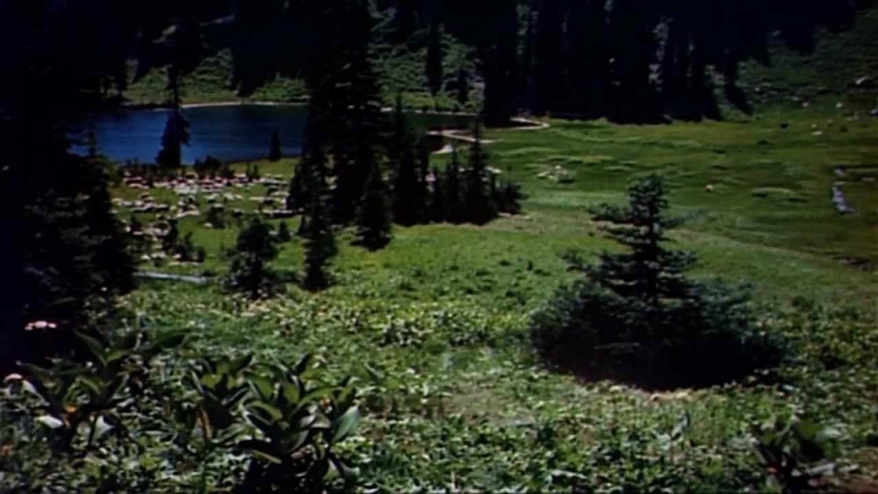 Lassie Come Home Trailer
