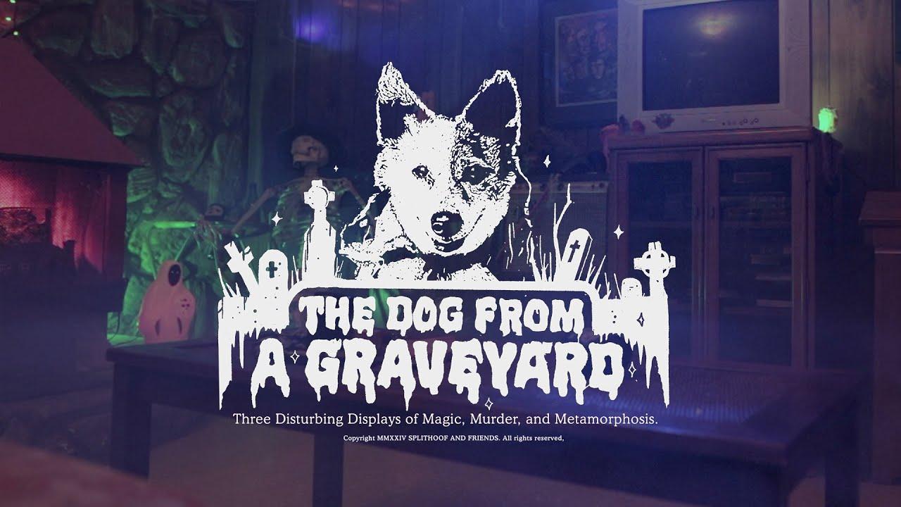 The Dog From A Graveyard Trailer