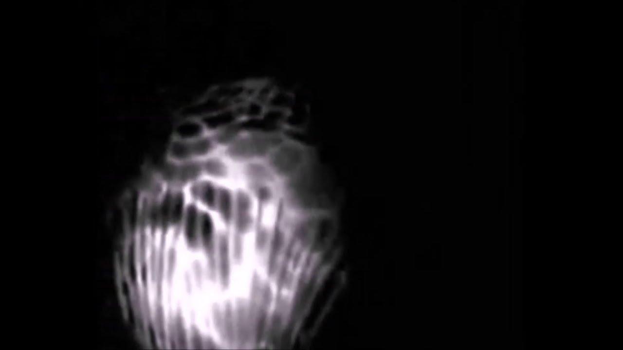 Deluge Trailer