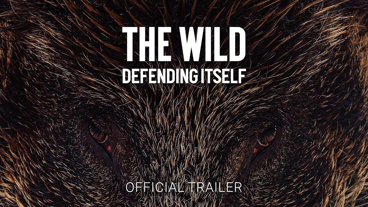 The Wild Defending Itself Trailer