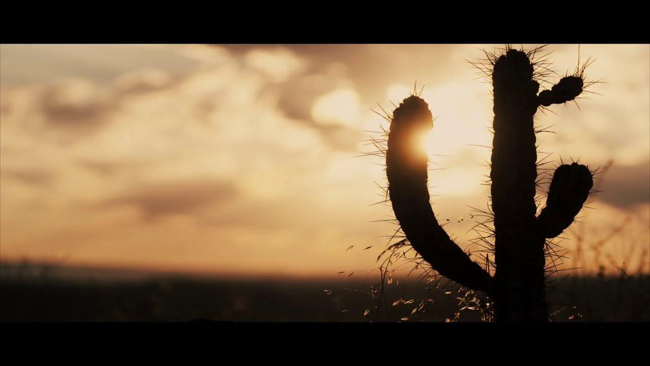 Puscifer: Existential Reckoning - Live At Arcosanti Trailer