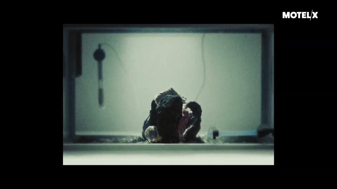 From.Beyond Trailer