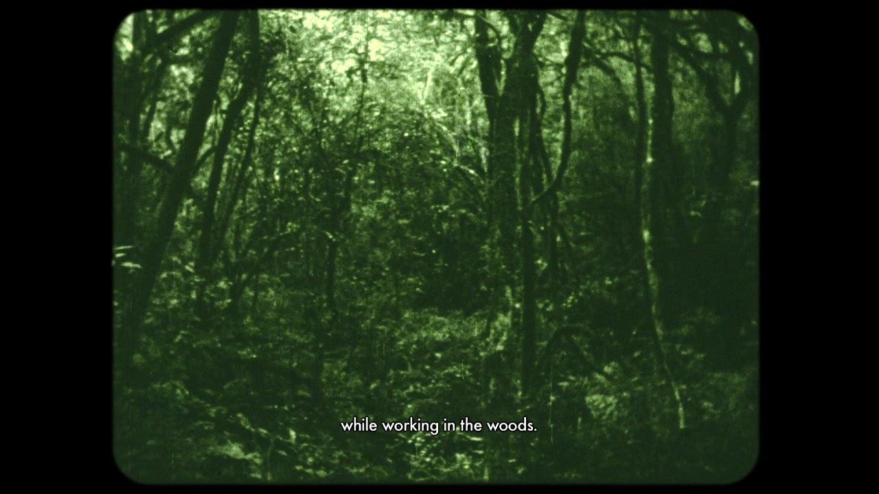 The Eyes in the Woods and the Taste in the Water Trailer