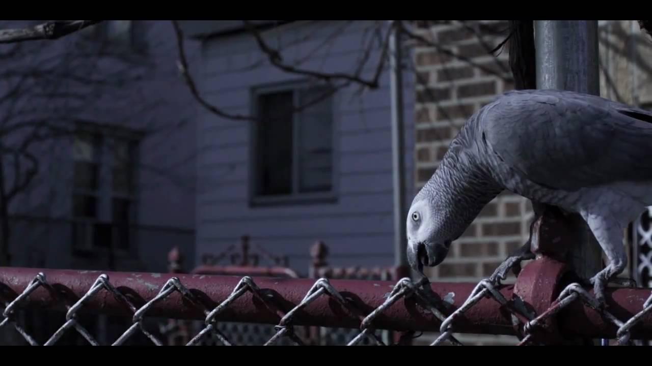 Brink Trailer