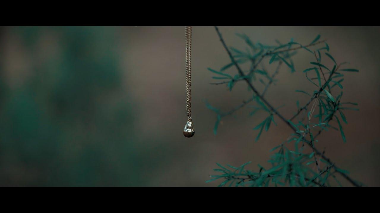 The Echo Forest Trailer