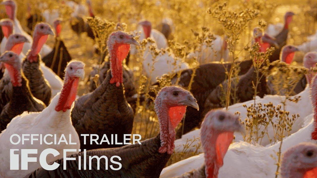 Eating Animals Trailer