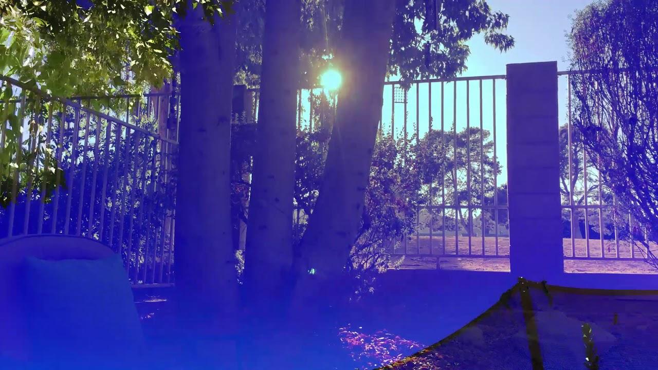 Ruminative Meditations Trailer