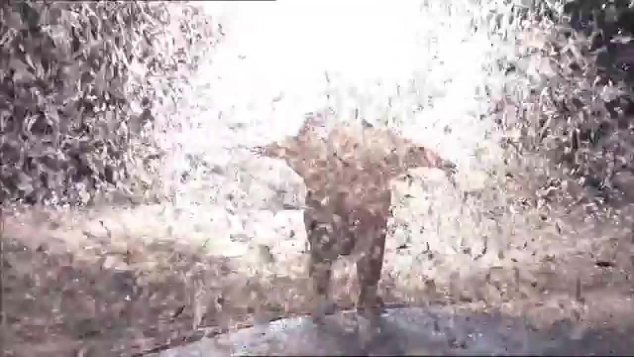 Slava's Snowshow Trailer