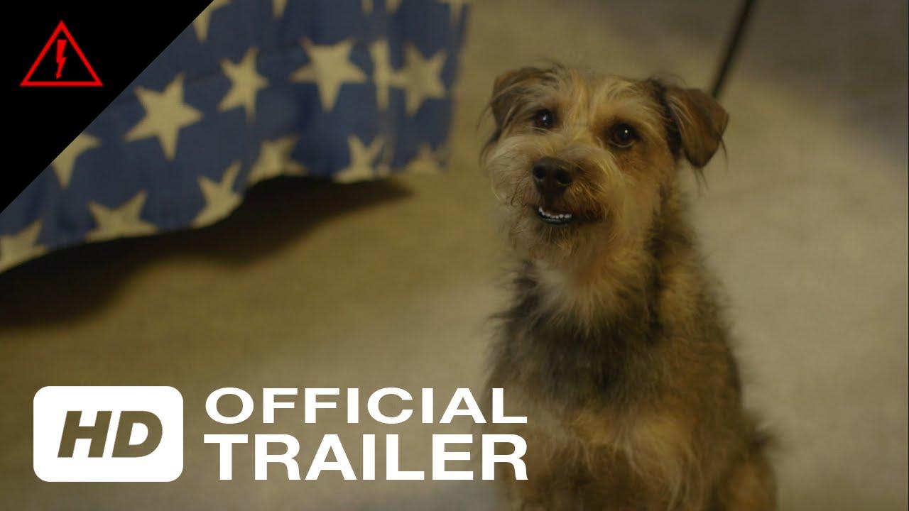 Robo-Dog Trailer