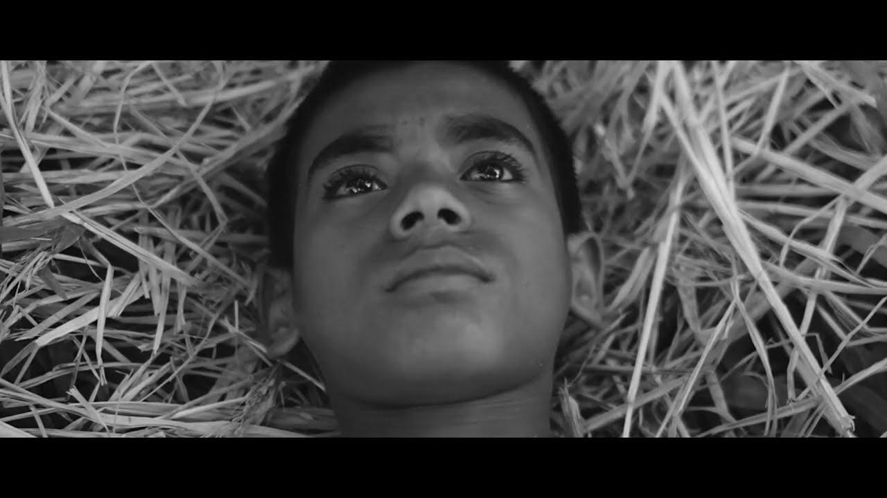Summer Holiday Trailer