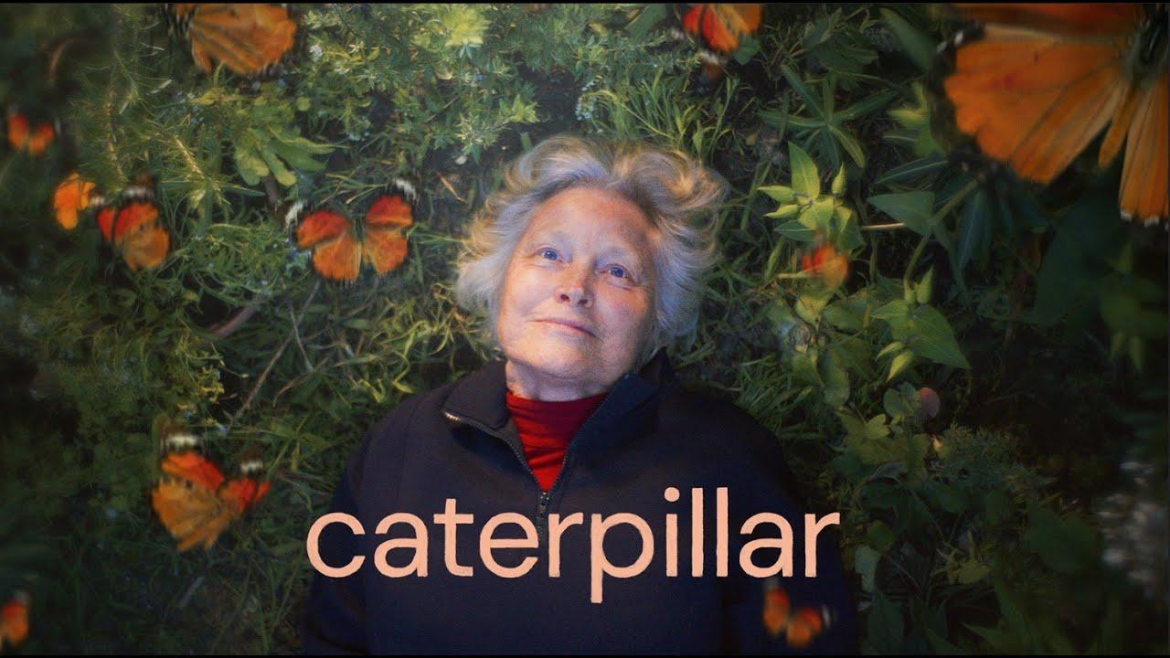 Caterpillar Trailer