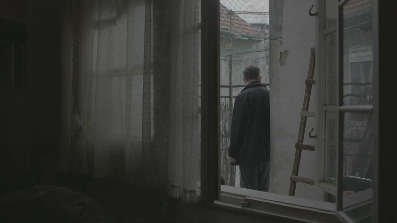 It's Not Cold for Mosquitoes Trailer