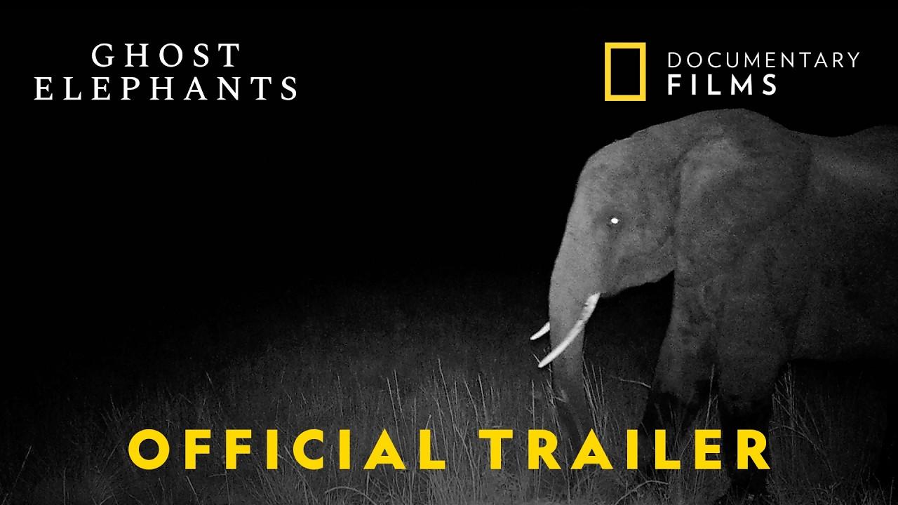 Ghost Elephants Trailer