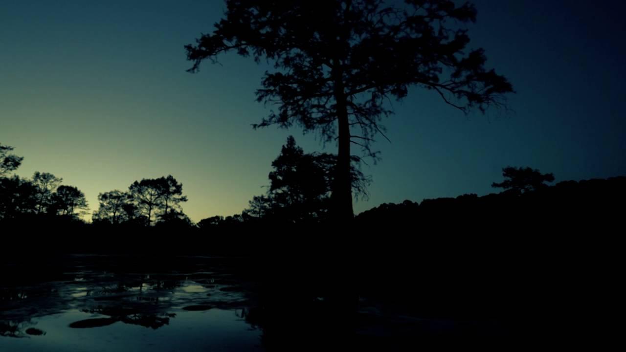 Boggy Creek Monster Trailer