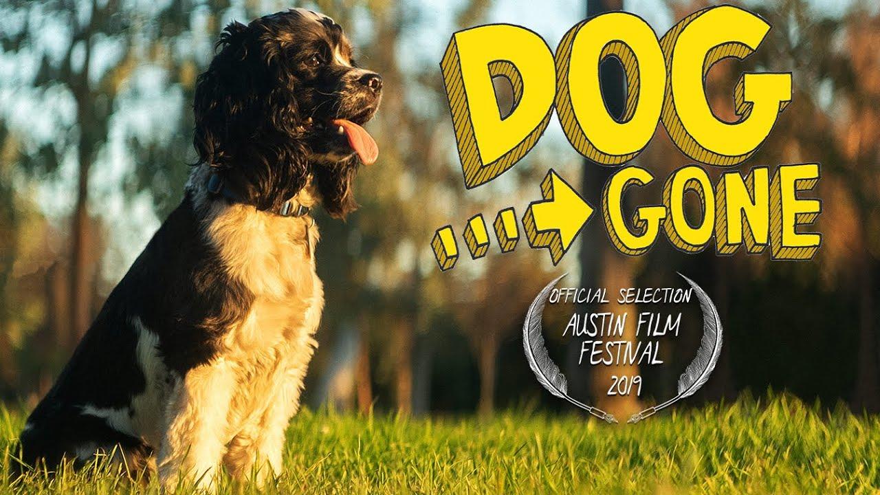 Dog Gone Trailer