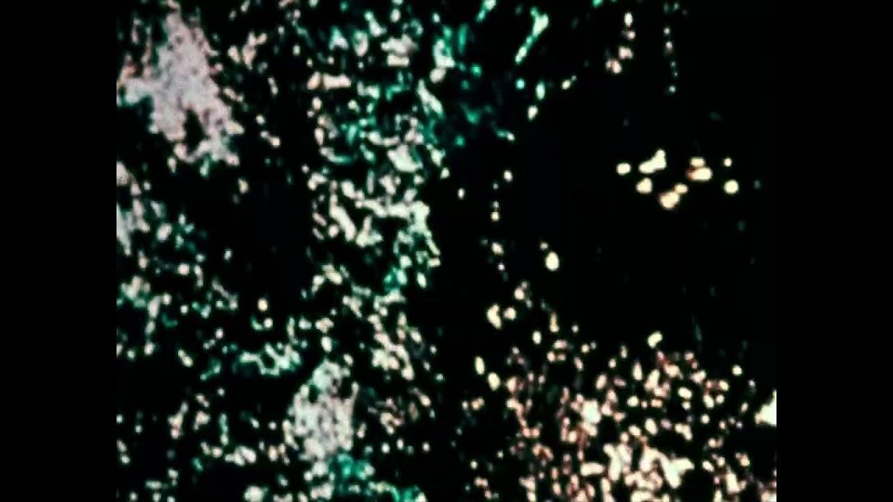 Trace Trailer