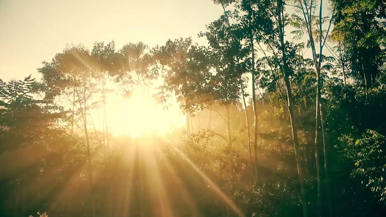 Biognosis Trailer