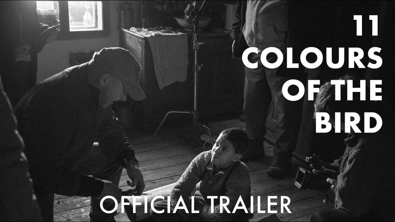 11 Colours of the Bird Trailer
