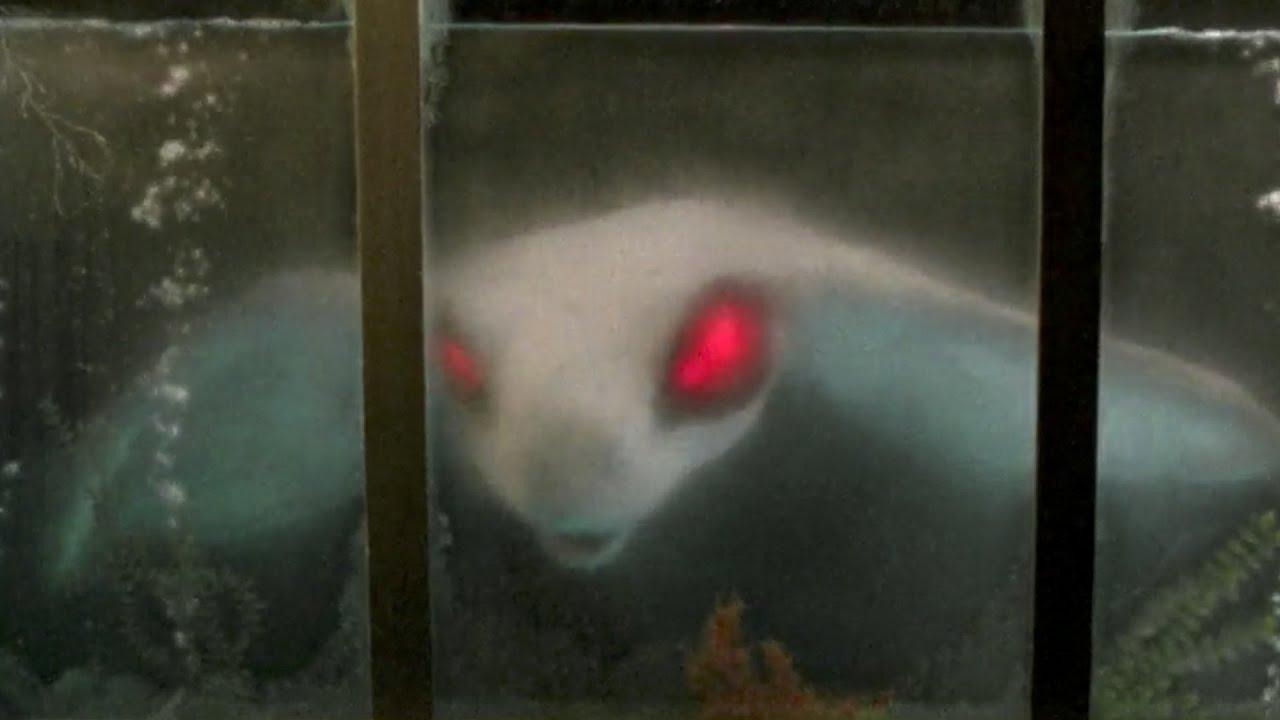 Lords of the Deep Trailer