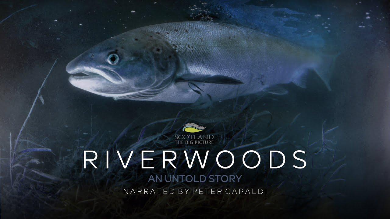 Riverwoods: An Untold Story Trailer
