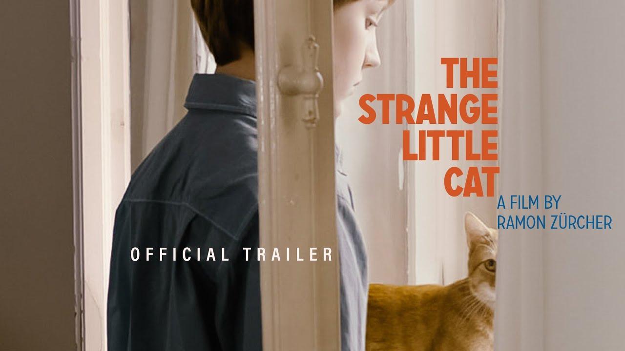 The Strange Little Cat Trailer