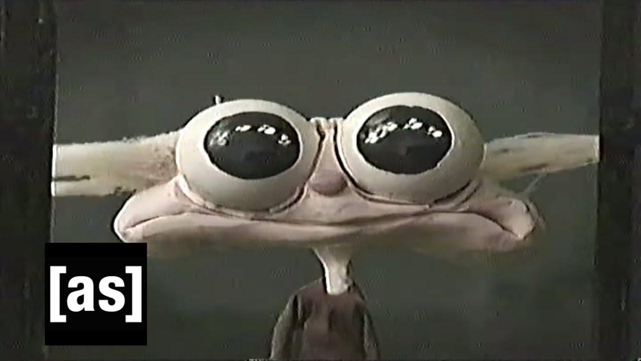 OPAL Trailer