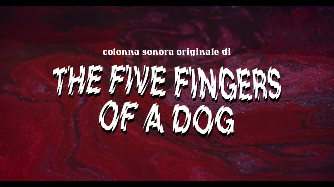 The Five Fingers of a Dog Trailer