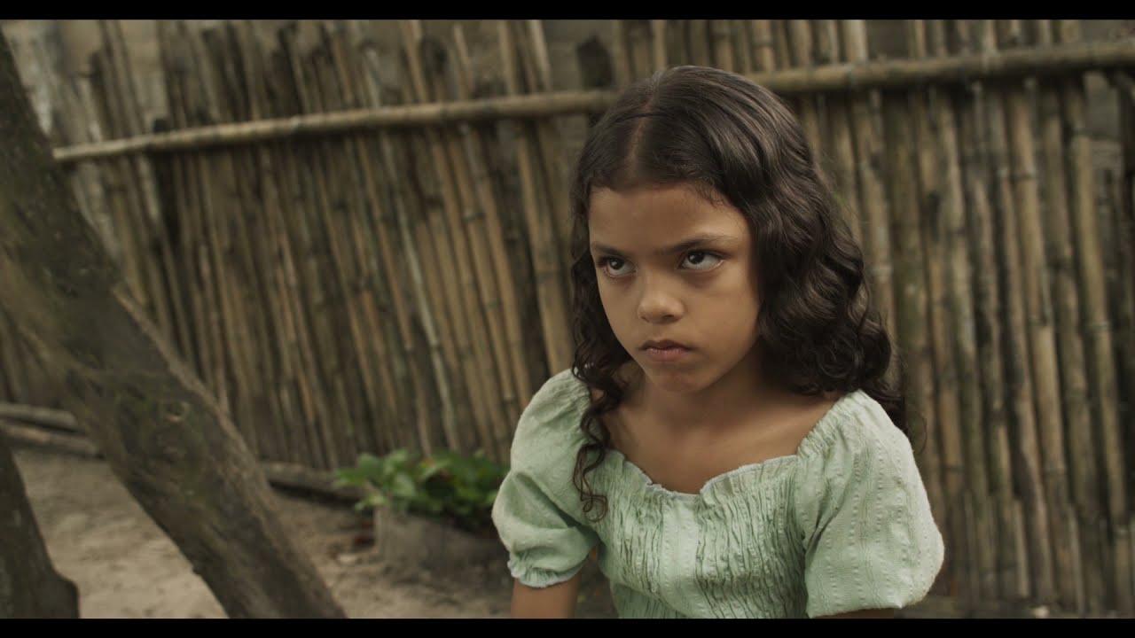 The Red Tree Trailer