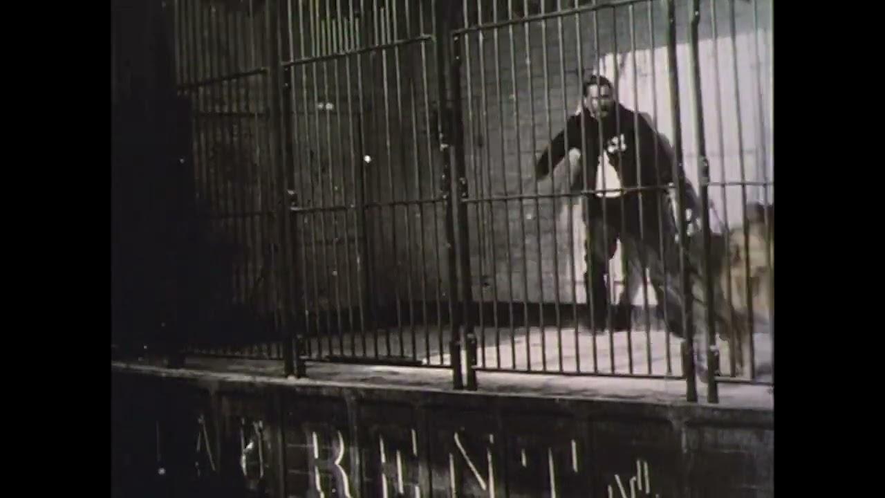 Danse Serpentine (In a Lion's Cage) Trailer