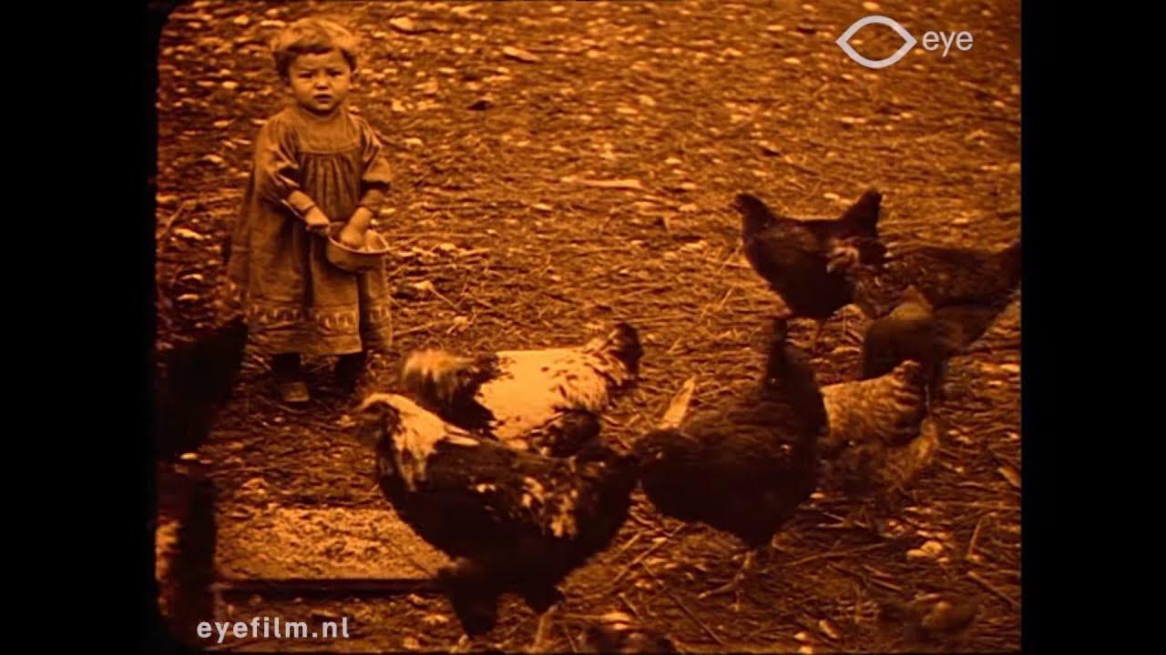 Breeding of Bresse Chickens in Cousance Trailer
