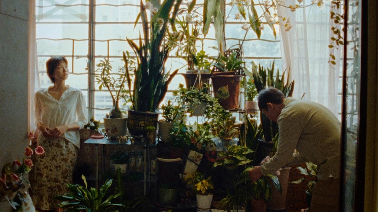 The Fading of Morning Light Trailer