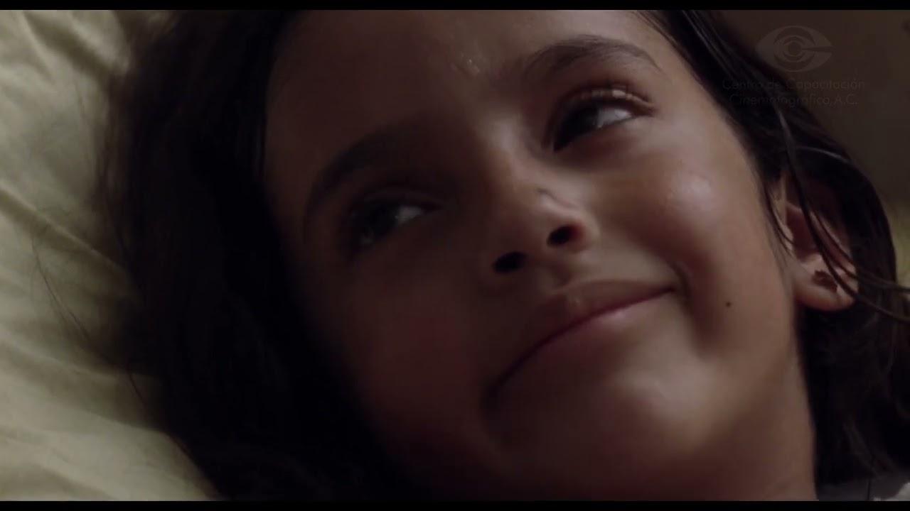 The little red Train Trailer