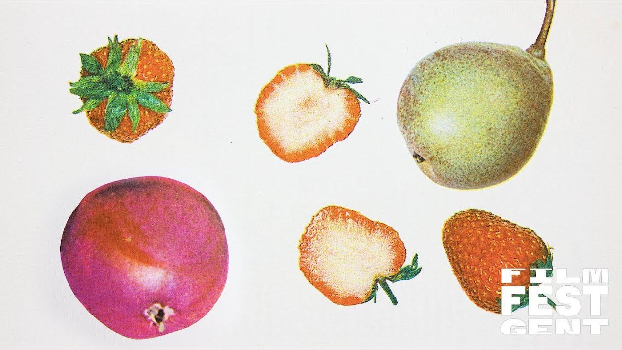 Dancing Fruit Trailer