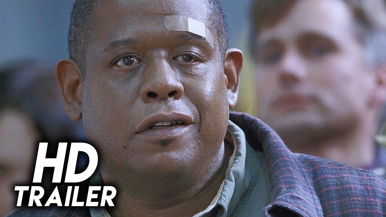 Even Money Trailer