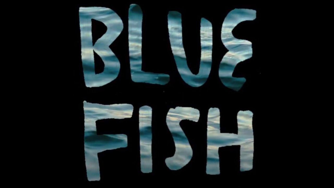 Blue Fish Trailer