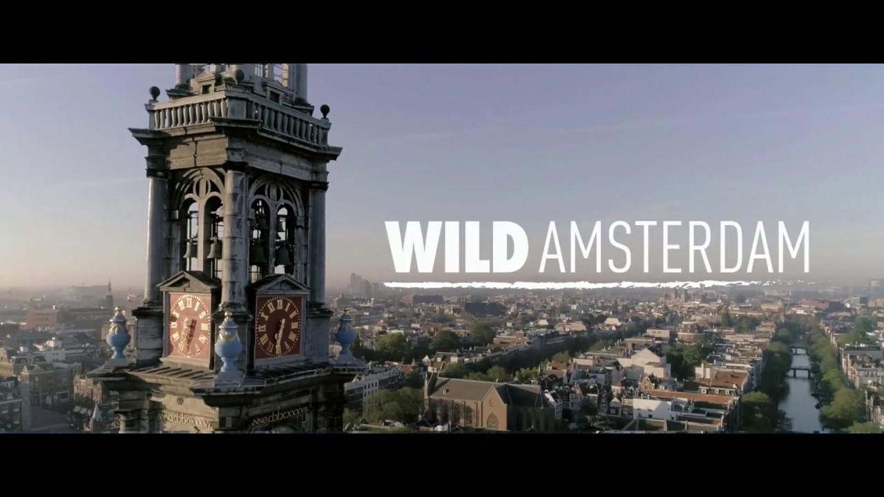 Wild Amsterdam Trailer
