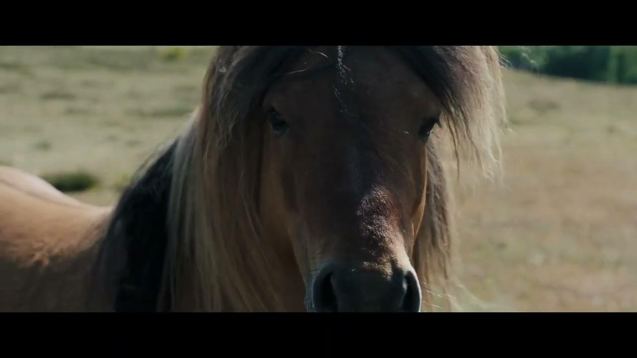 Belinda Trailer