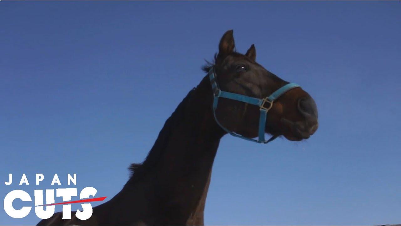 The Horses of Fukushima Trailer