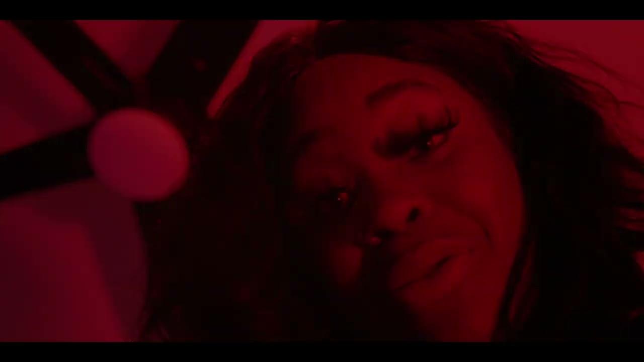 The Roost Trailer