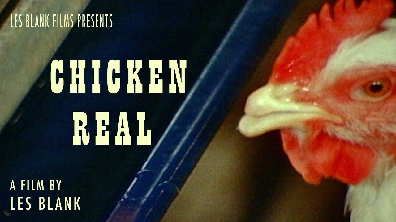 Chicken Real Trailer