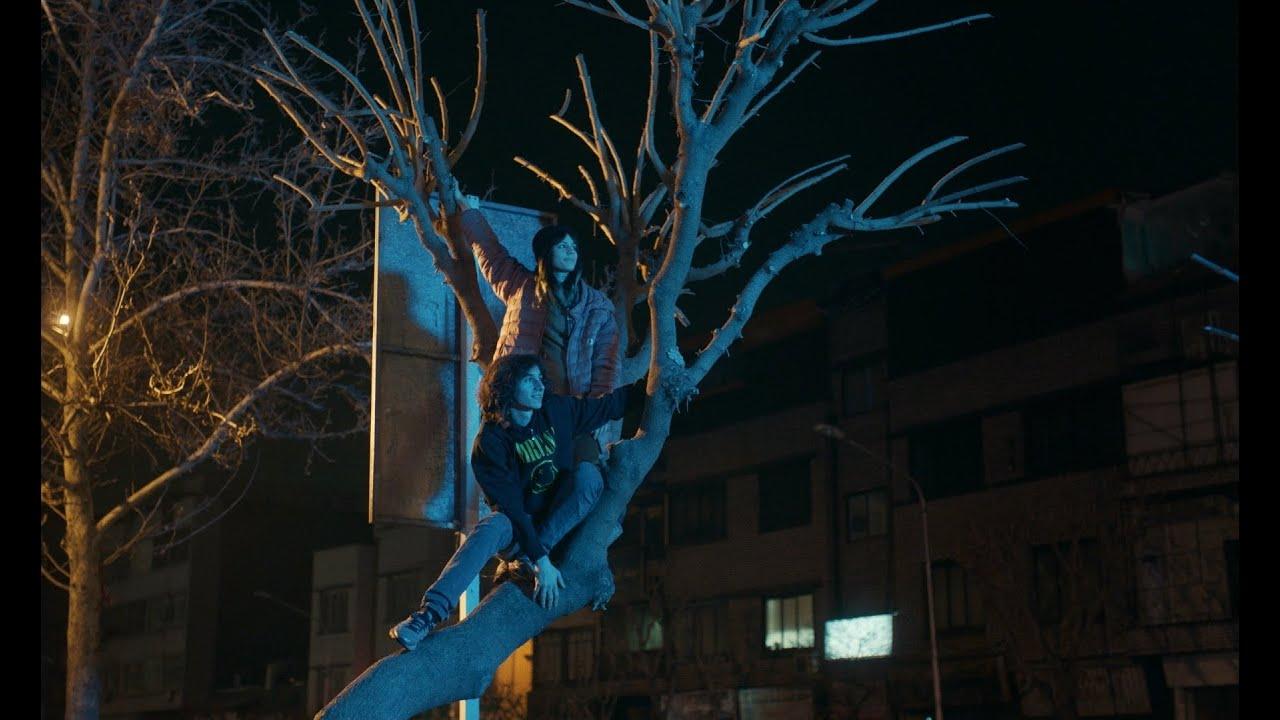 Boomerang Trailer