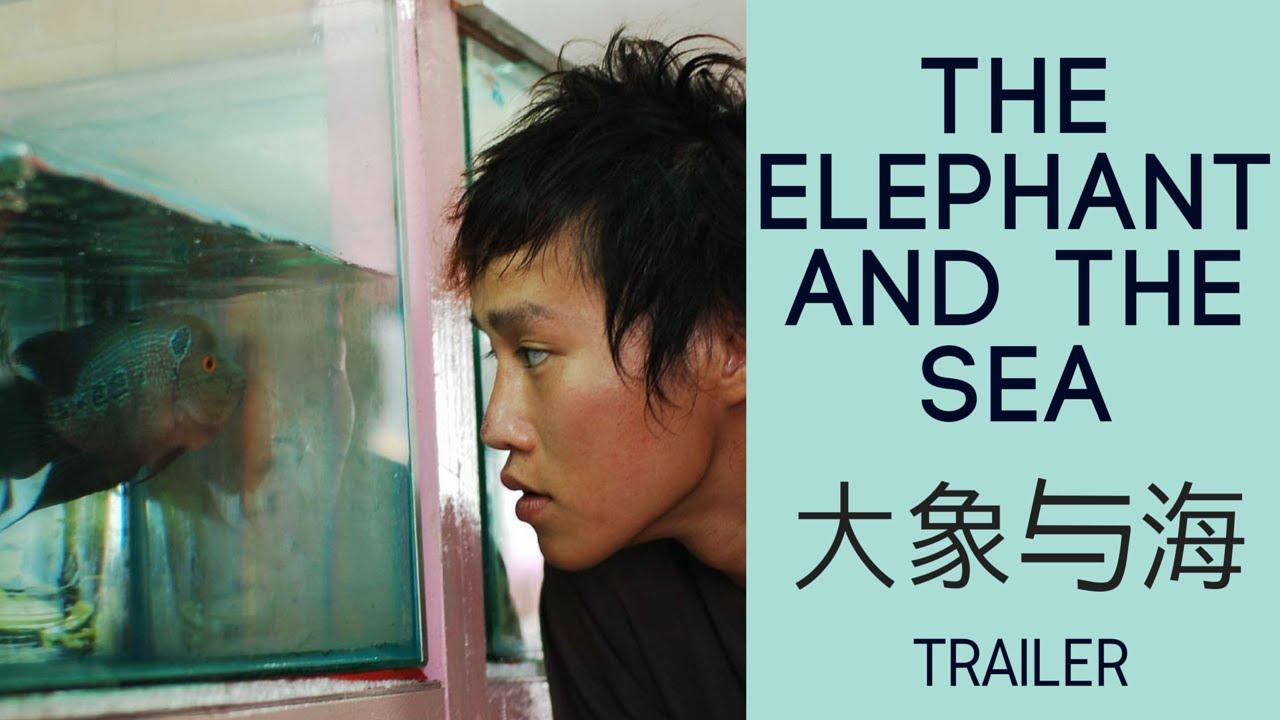 The Elephant and the Sea Trailer